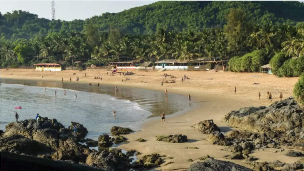  Opt for pristine beaches of Gokarna 