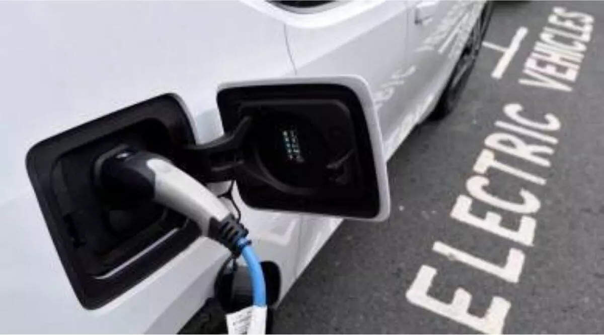 EU needs to up electric vehicle support to fend off Chinese competition
