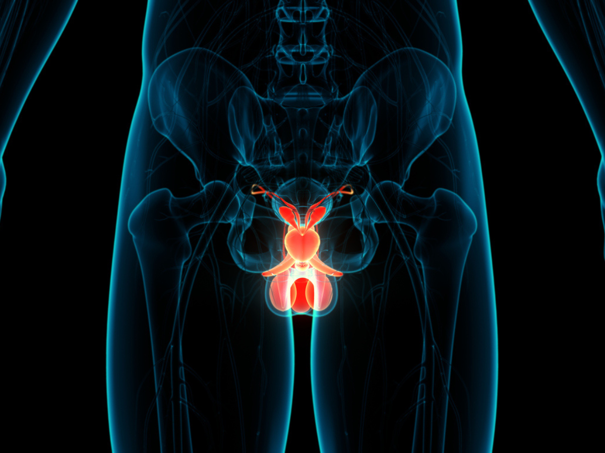 Clarity Pharmaceuticals - Radiopharmaceutical Therapies and Diagnostics