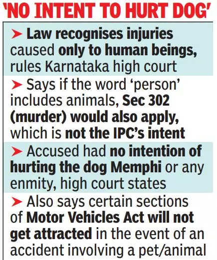 Rash driving clause if human hurt, not pet: HC