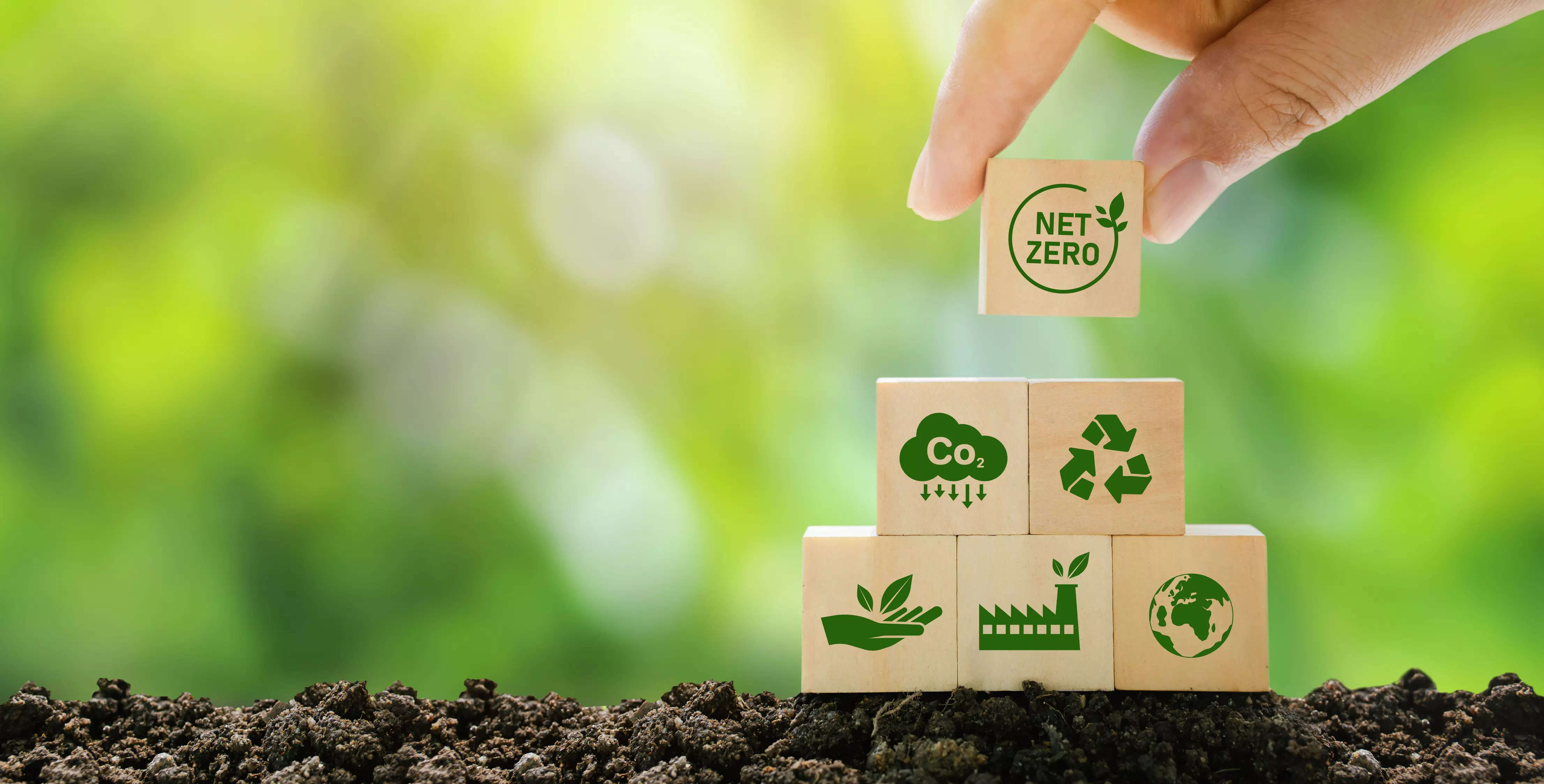 5 sustainable practices to follow for an eco-friendly environment