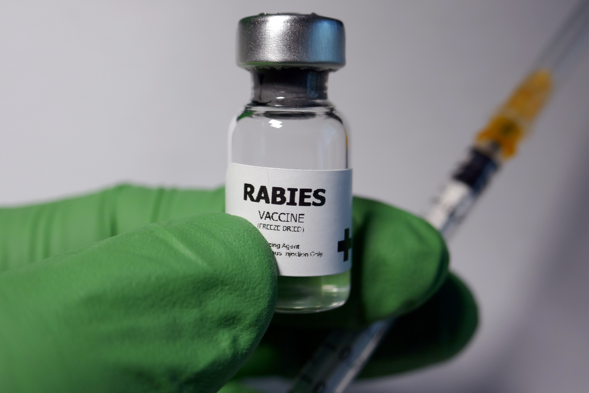 Supreme Court  issues notice to Centre on study over efficacy of current rabies vaccines in India