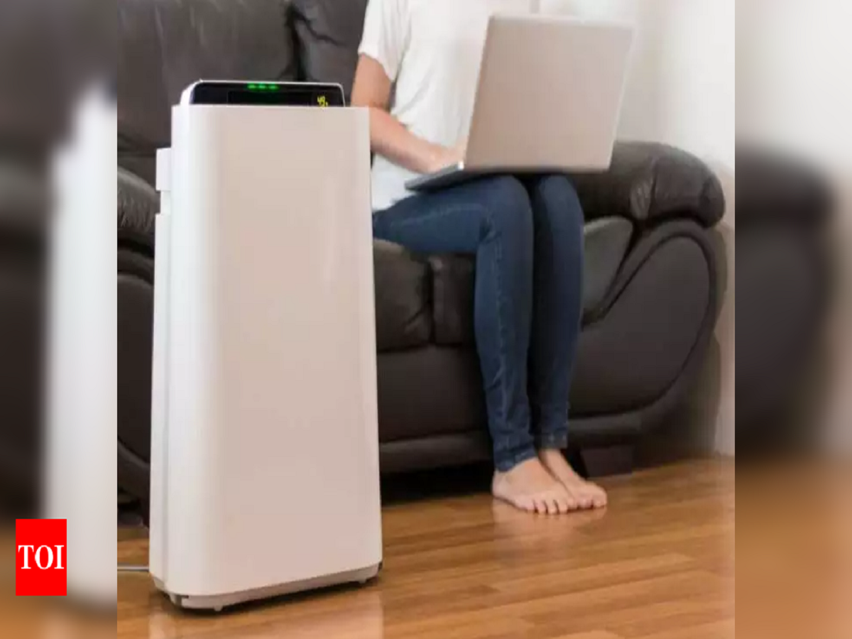 Rising pollution pushes up air purifier sales