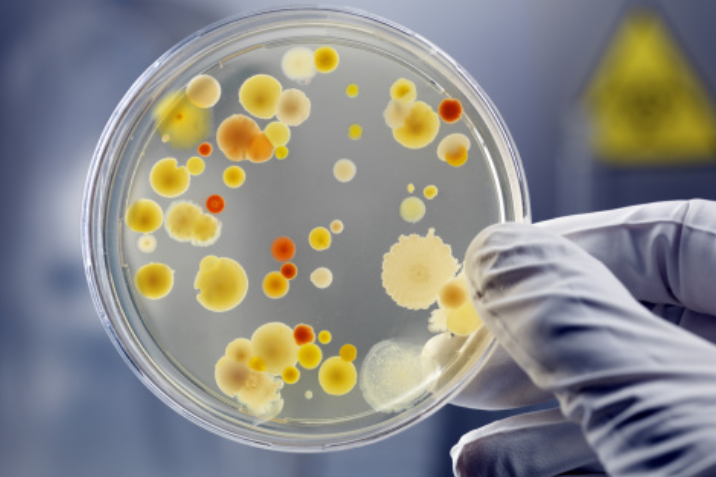 WHO calls for sustained multisectoral action to prevent antimicrobial resistance
