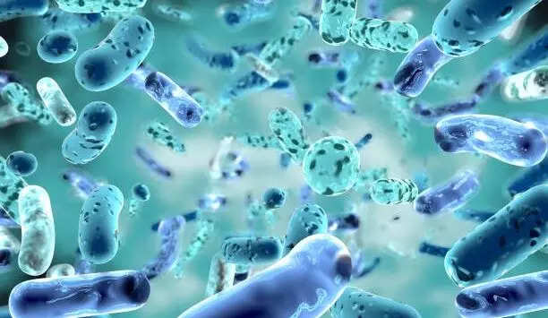 Bacterial infections the 'second leading cause of death worldwide': Lancet