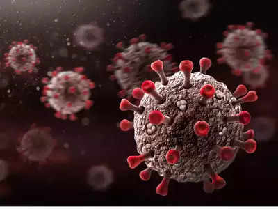 Study sheds light on origins of Omicron virus