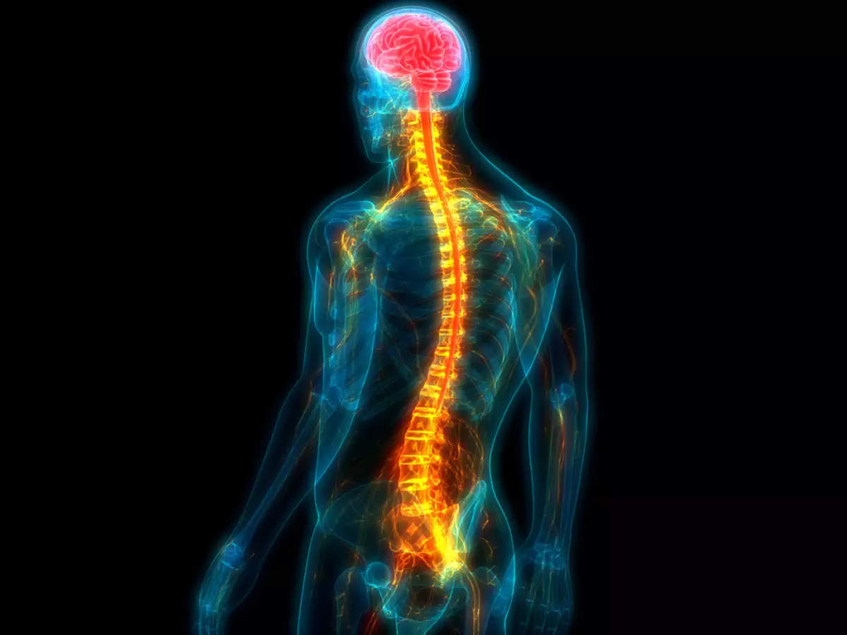 The best way to treat spinal cord injuries