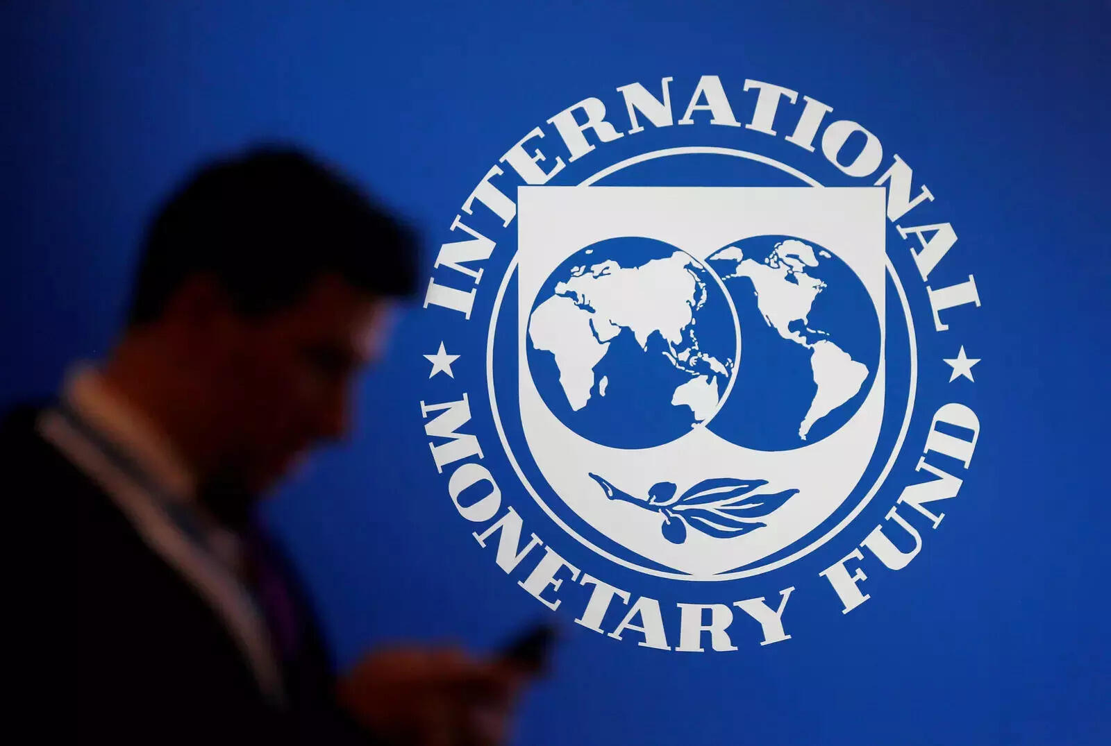 role of imf in india