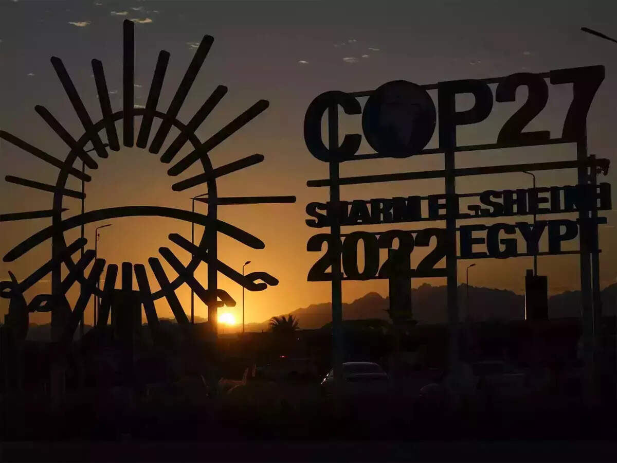 COP 27: The dust has settled, what next?