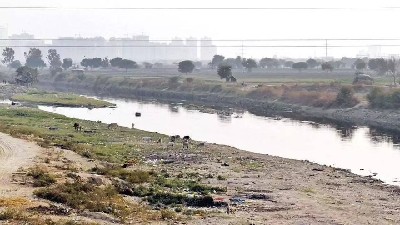 NGT survey reveals dreaded diseases in Uttar Pradesh villages on banks of Hindon river