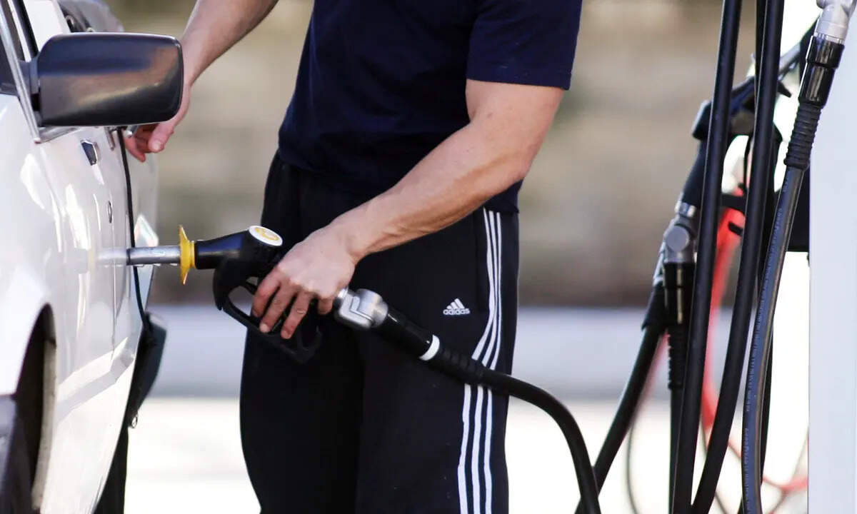  Petrol prices in New Zealand, like elsewhere, have risen sharply since Russia's attack on Ukraine started around a year ago, contributing to significant inflation.