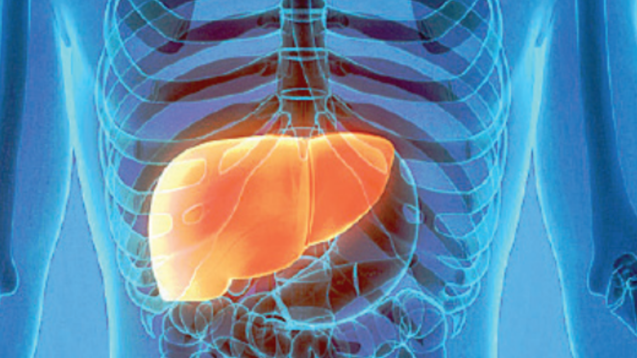 Study reveals antibody therapy for treating liver disease