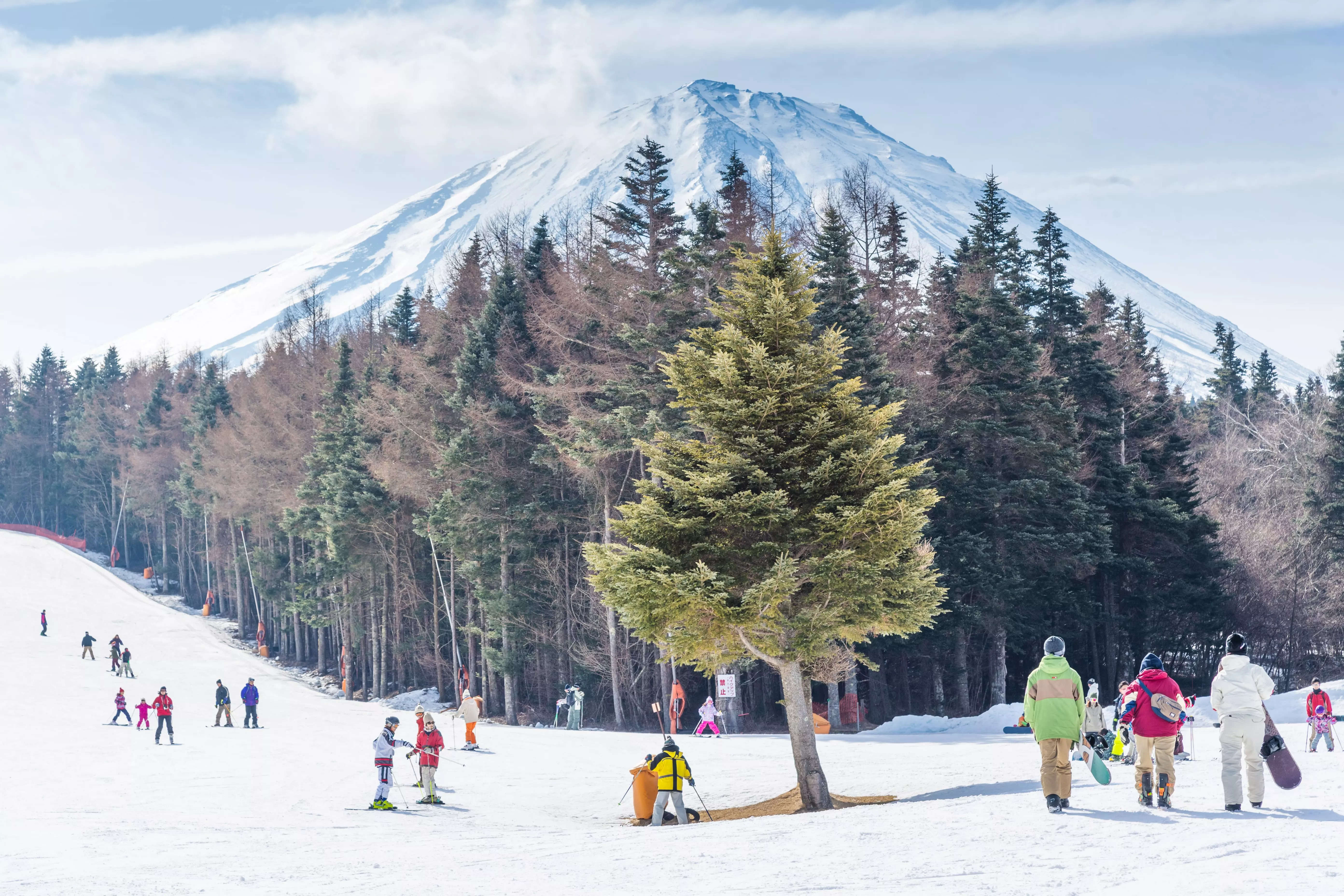 Allure of Japan's powder snow a growing danger as more tourists ski  backcountry