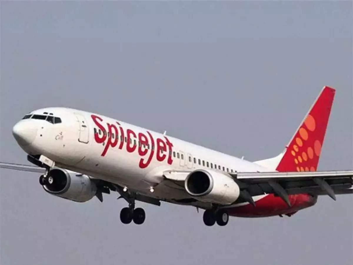 SpiceJet begins flight services from Manohar International Airport in Goa