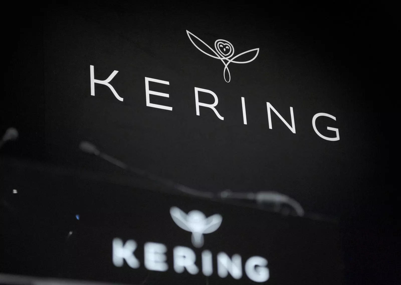 Luxury giant Kering says profit up despite Gucci slide
