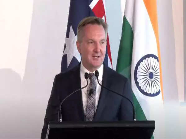 Australia strongest supporter of India's G20 presidency: Australian Energy Minister