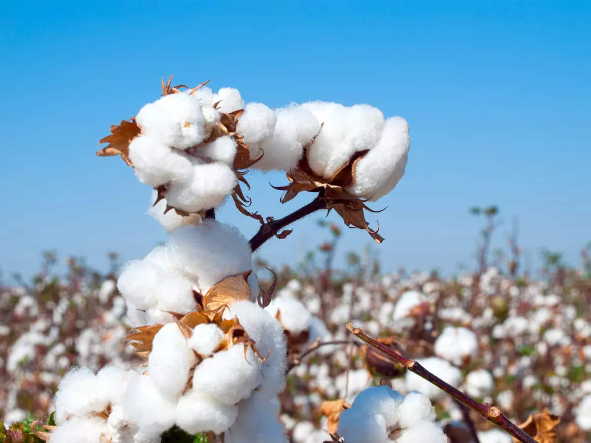 Quality Control for cotton good for industry, says Aditya Birla Group's Thomas Varghese