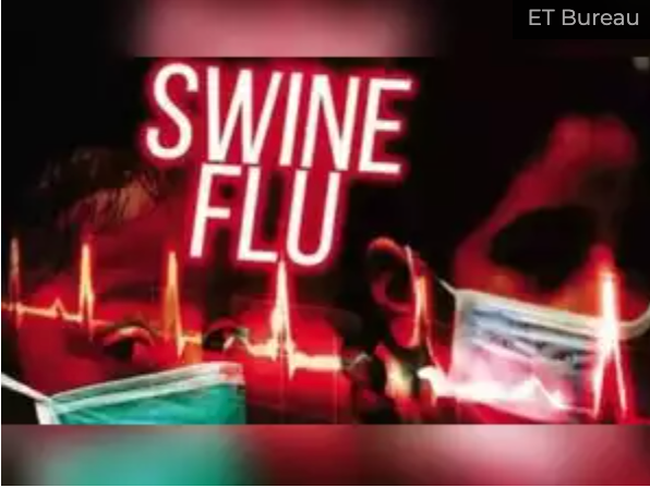 Swine flu cases on the rise: Health ministry