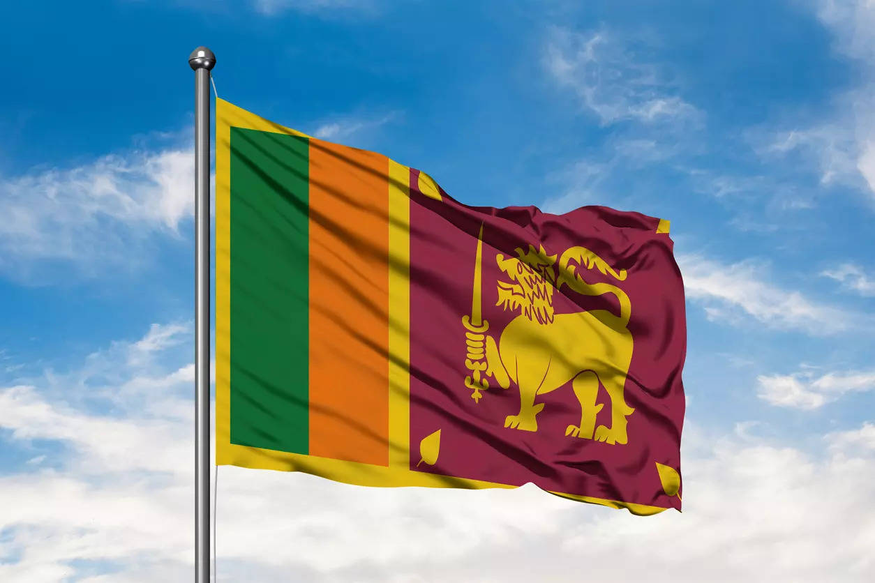 Sri Lankan public security minister used shell companies to own