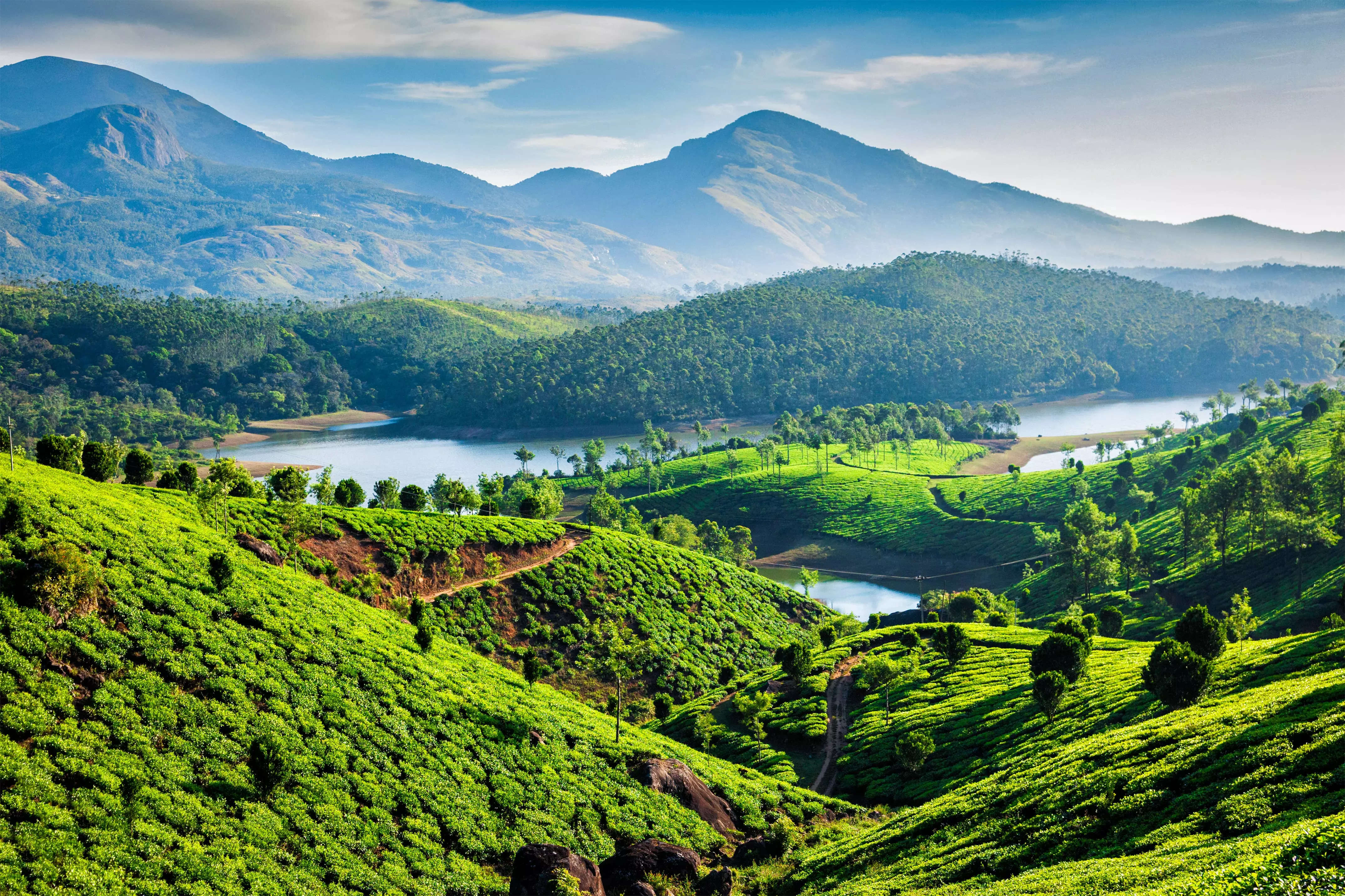 Kerala Tourism: Kerala government to form Munnar Hill Area Authority, ET TravelWorld