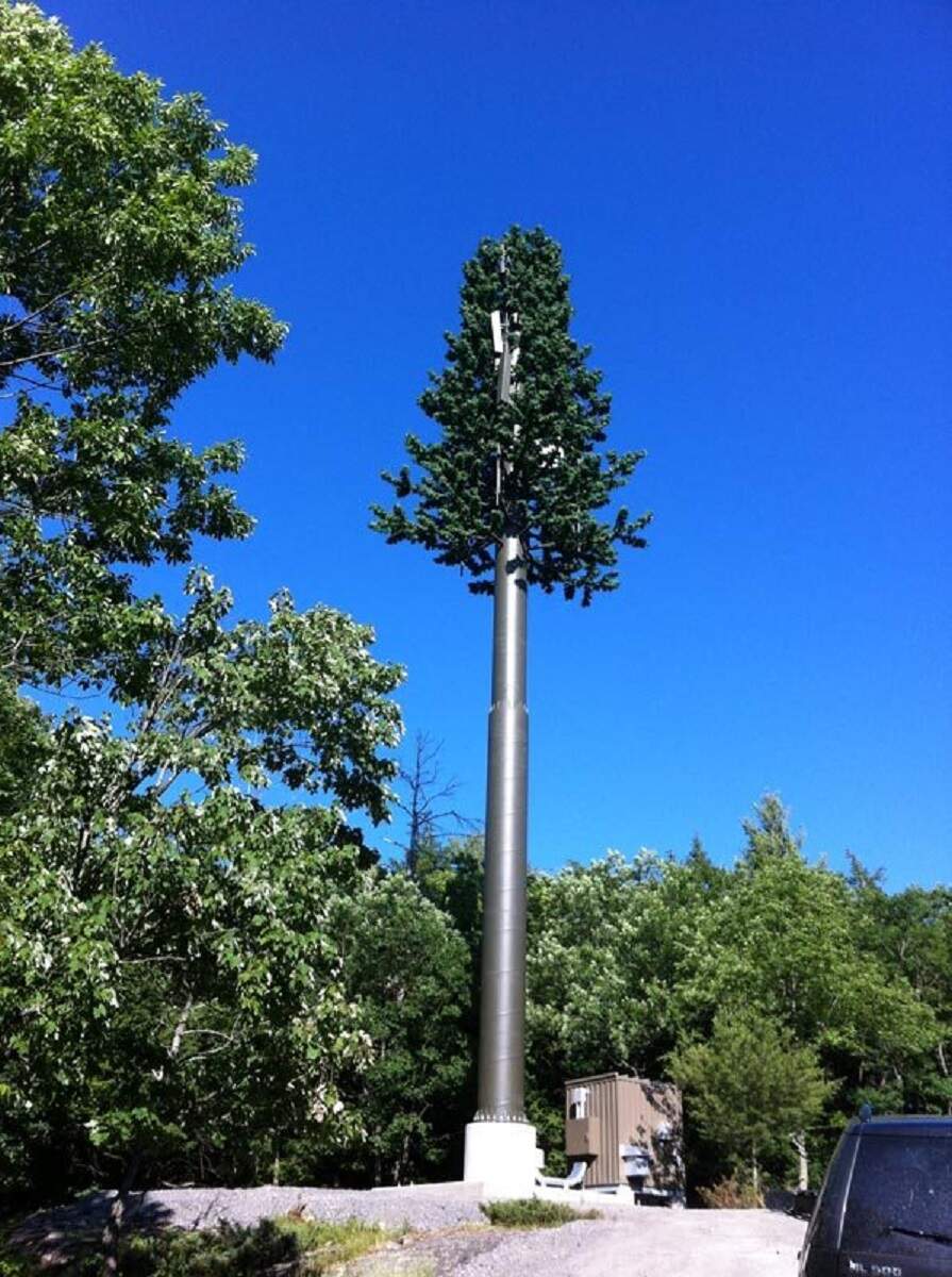 Camouflaged Cellular Towers Expect These Antennas Disguised As Trees In India Soon Et Telecom