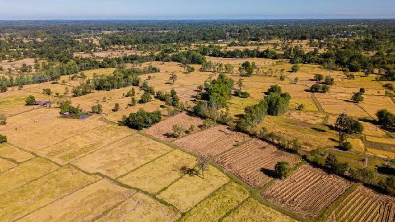 Hyderabad: Plot in Thorrur fetches ₹45,000 per sq yard in auction