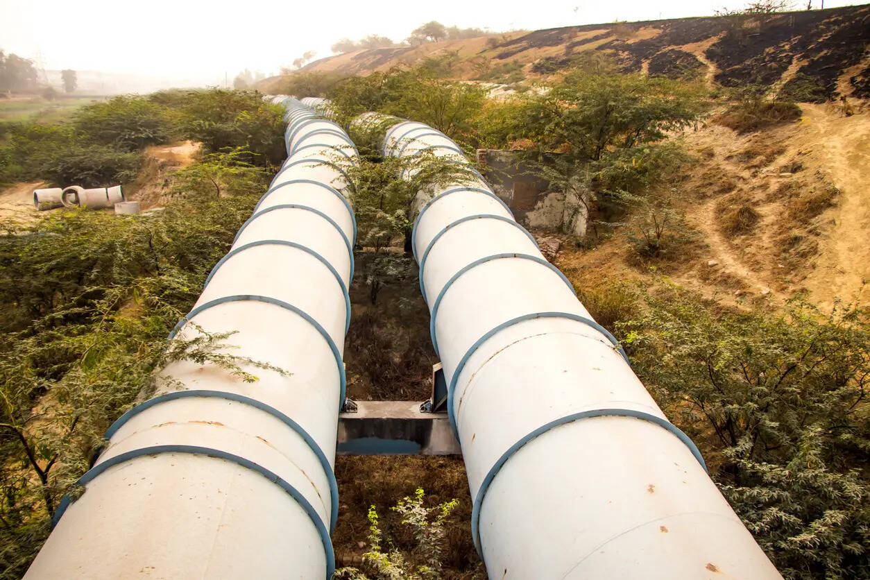 Pimpri Chinchwad residents demand action against builders over broken water supply promises