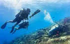 Goa turning blind eye to illegal scuba dive operators?