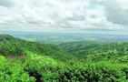 Karnataka forest dept to start safari at Cauvery Wildlife Sanctuary