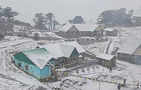 Tourists revel as season's first snowfall blankets Bengal's highest point Sandakphu
