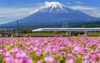 Japan saw record 2.79 million visitors in February due to Lunar New Year boost