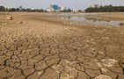 About 125 of 800 lakes in Bengaluru dry up