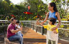 STB launches 'Family Playdates. Made In Singapore' campaign to promote family-friendly travel