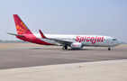 SpiceJet reports net loss of INR 420 crore in Q1 FY2023, revenue increase by 126% YoY