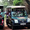 Cruiser safaris for house owners of resorts &amp; tour brokers banned in Tadoba
