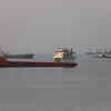 Nearly 12 ships carrying fertiliser cross Strait of Hormuz