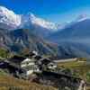 Eastern Himalayas show highest black carbon levels; snow loss tied to biomass burning