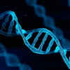 Scientists discover why some DNA-doubled cells don't die