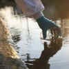 Feed Image