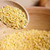 Millet diet likely to improve vitamin B12, vitamin D levels: Delhi Trial