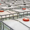 India’s Lithium-ion battery demand to rise to 115 GWh by 2030; graphite recycling a major hurdle: Study