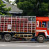 Govt amends LPG rules, offers flexibility for consumers shifting to PNG