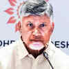 Andhra Pradesh CM Naidu turns heat on defaulters in green energy space