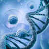IIT-K researchers identify protein enabling colorectal cells withstand Chemo