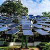 Delhi govt plans to install solar tree at Secretariat
