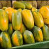 Tata Memorial Hospital's cancer study on papaya boosting platelets under lens