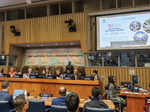 Image thumb india presents its 3rd voluntary national review at un showcasing inclusive sdg progress