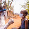 Feed Image