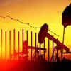 India's fuel conservation push, govt aims for resilience amid high crude prices