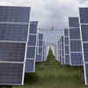 China's solar industry losses balloon on falling prices